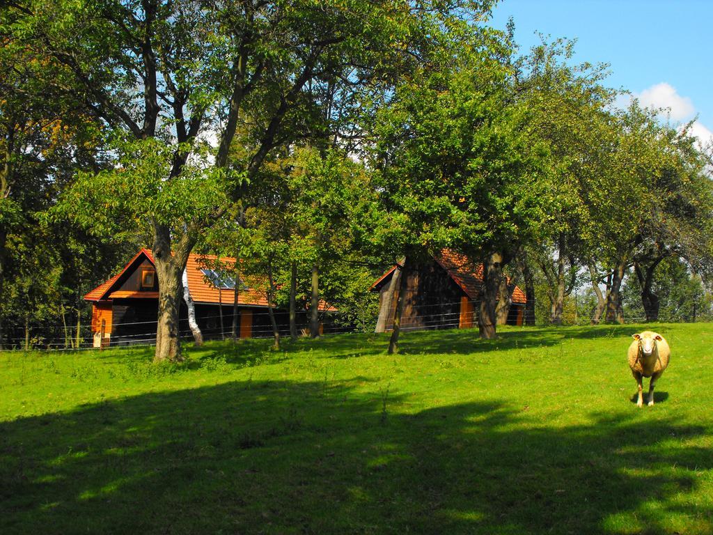 Agroturystyka Zacisze Czarna Owca Brzezanka المظهر الخارجي الصورة